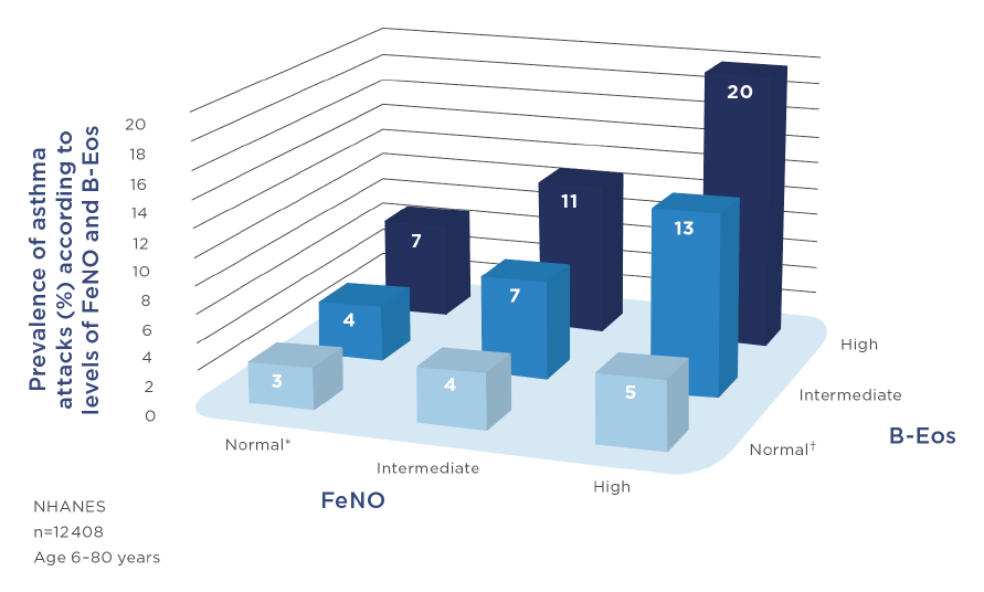 Prevalence of asthma attacks (%) according to levels of FeNO and B-Eos