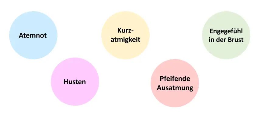 Diagramm mit fünf häufigen Asthma-Symptomen in Kreisen: 'Atemnot', 'Husten', 'Kurzatmigkeit', 'Pfeifende Ausatmung' und 'Engegefühl in der Brust'