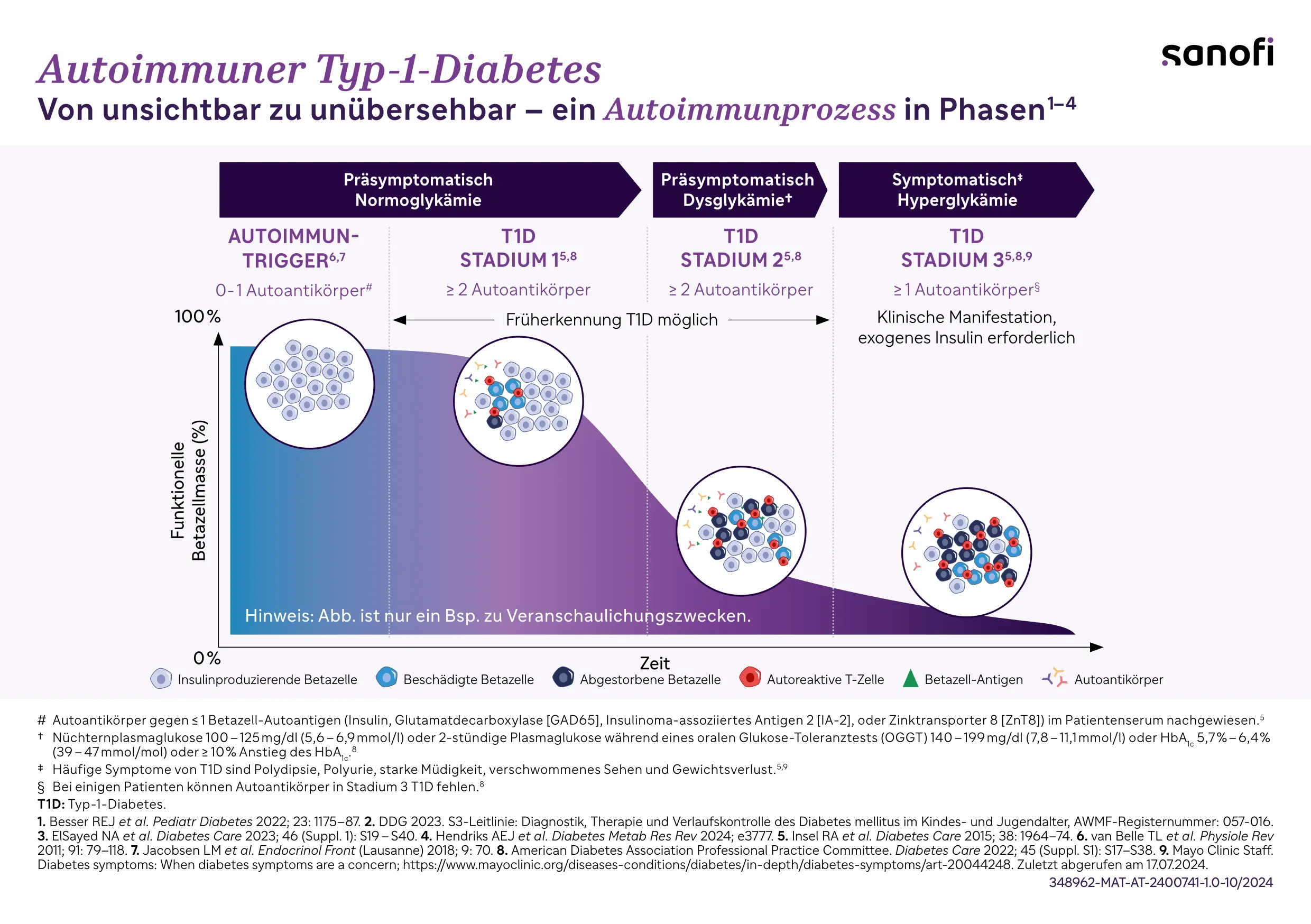 Infografik mit dem Titel "Auotimmuner Typ-1-Diabetes, von unsichtbar zu unübersehbar - ein Autoimmunprozess in Phasen". Infografik zum autoimmunen Typ-1-Diabetes, die den Krankheitsverlauf in drei Phasen darstellt: von präsymptomatischer Normoglykämie (Stadium 1) über präsymptomatische Dysglykämie (Stadium 2) bis zur symptomatischen Hyperglykämie (Stadium 3). Die Grafik zeigt den progressiven Verlust der Betazellenfunktion von 100% auf 0%, die Zunahme der Autoantikörper und den Zeitpunkt, ab dem exogenes Insulin erforderlich wird. Illustriert werden intakte, beschädigte und abgestorbene Betazellen sowie autoreaktive T-Zellen, Betazell- Antigene und Autoantikörper. Die Abbildung dient Veranschaulichungszwecken und basiert auf wissenschaftlicher Literatur.